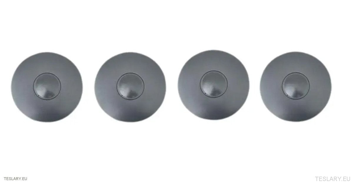 Tesla Model 3 Highland Performance Center Hub Caps
