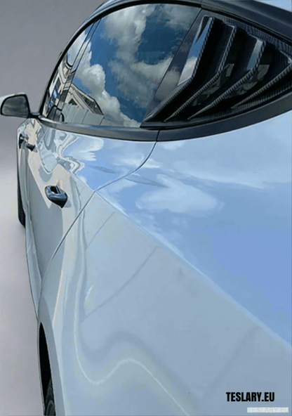 Tesla Model 3 / Y Manijas de las puertas exteriores (4 piezas)