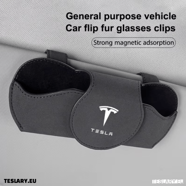 Tesla Gafas Case Sol Sol Soates con el logotipo de Tesla Color Negro