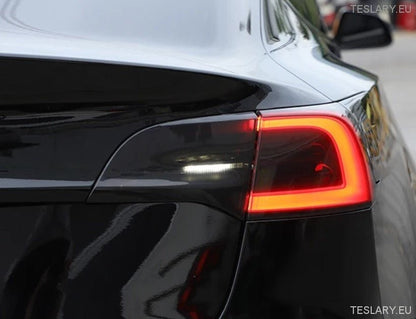 Tesla -malli 3 / y & 3+ Ylämaan takavalo savustettua muovisia suojakuoria