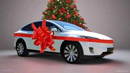 TESLARY GIFT CARD - Tesla Shop Europe - TESLARY.IE Ireland - France boutique- Deutschland Geschäft- España comercio - Nederland winkel- TESLARY.IE